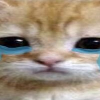 <3     